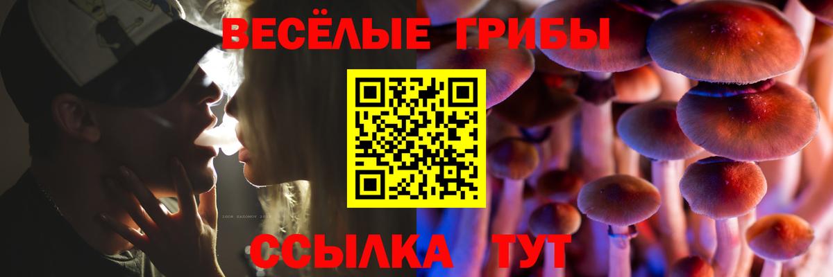 Щёлково  купить наркотики цена  Галлюциногенные грибы мухоморы  Вход с VPN  Псилоцибиновые грибы мицелий 